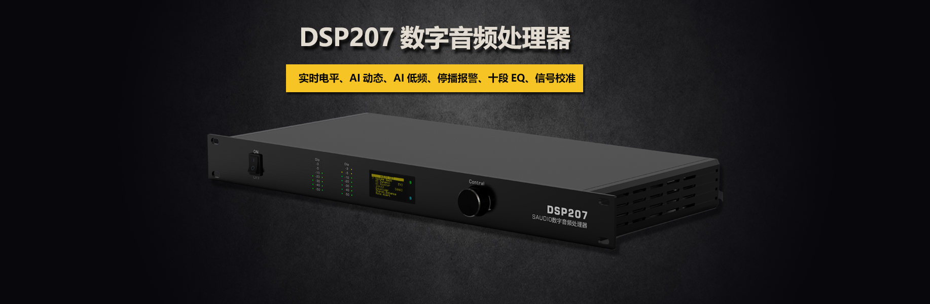 DSP207數(shù)字音頻處理器